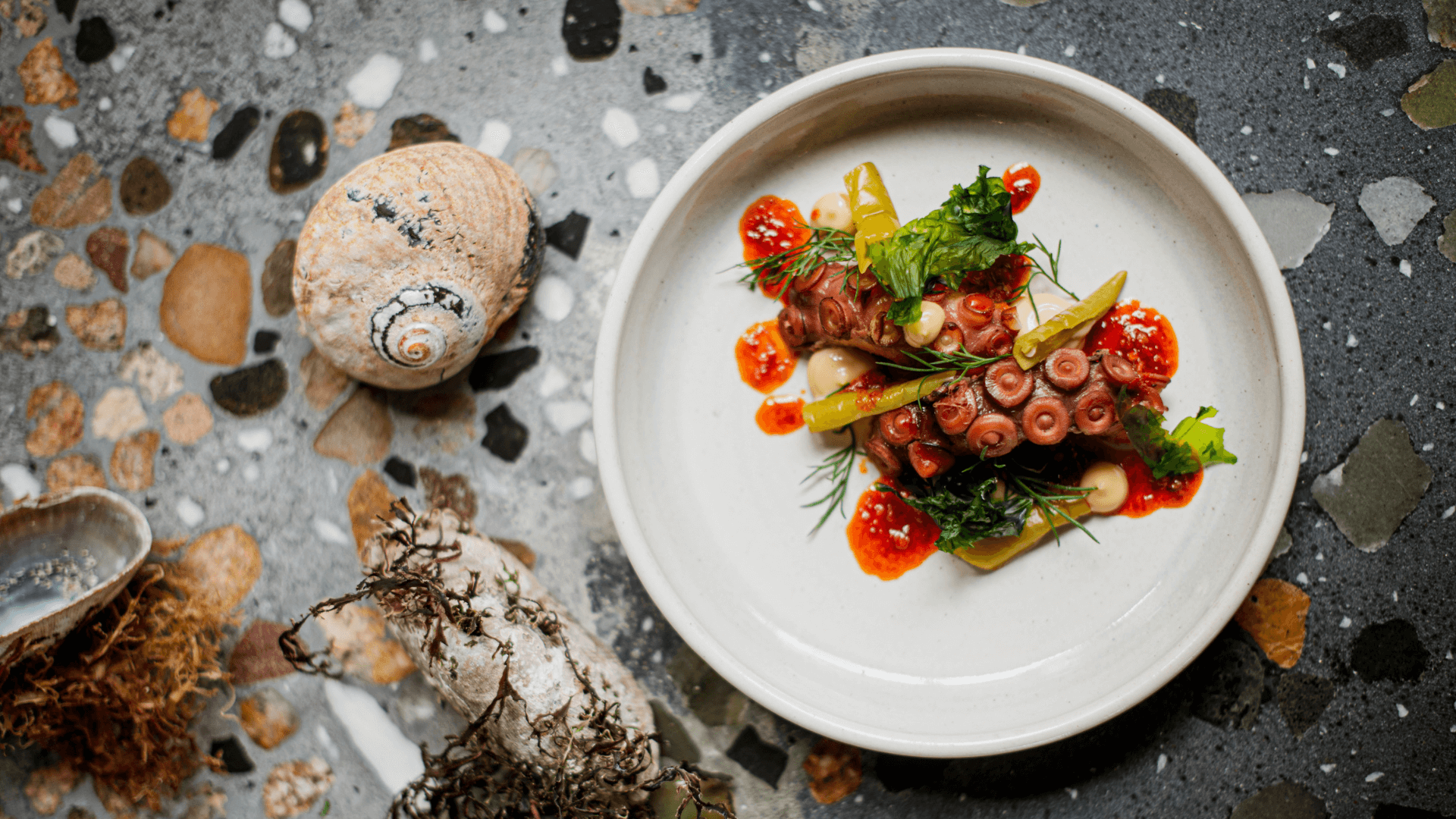 Octopus on a plate with a seashell beside it.