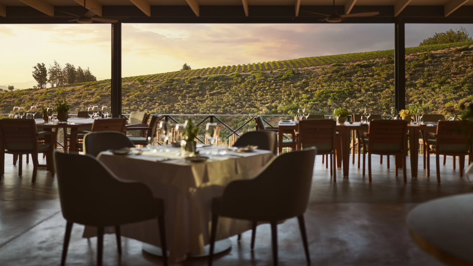 An elegant open-air restaurant overlooks a vineyard at sunset, with beautifully set tables and a warm, inviting ambience.