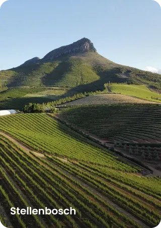 Stellenbosch